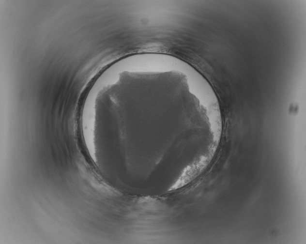 X0000112830290200909111405