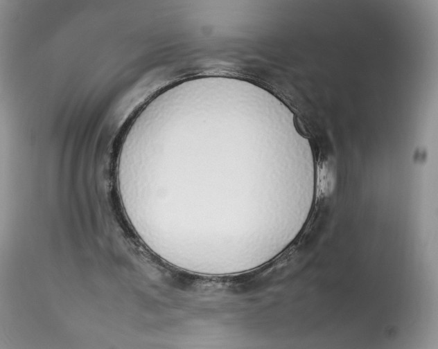 X0000112830291200909111405