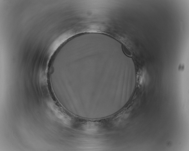 X0000112830292200909111405