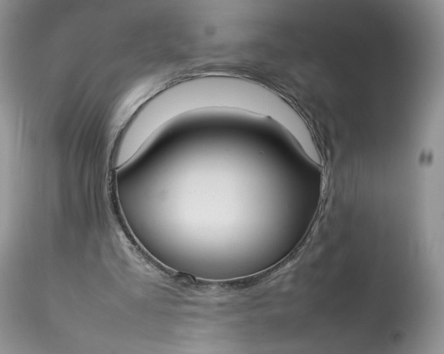 X0000112830293200909111405