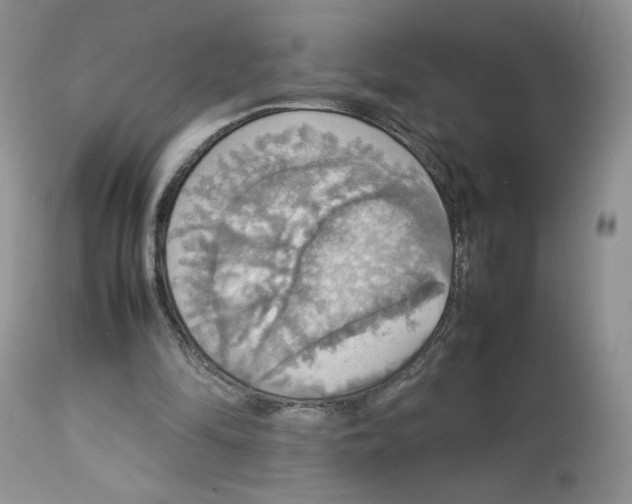 X0000112830294200909111405