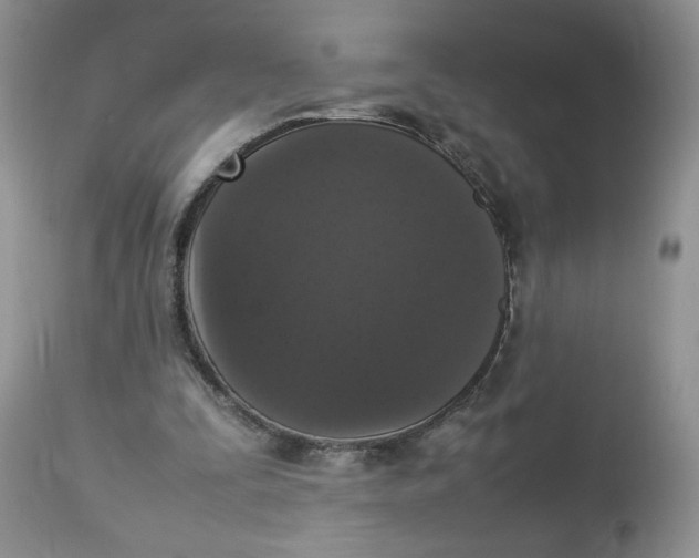 X0000112830295200909111405