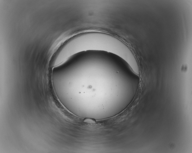 X0000112830296200909111405