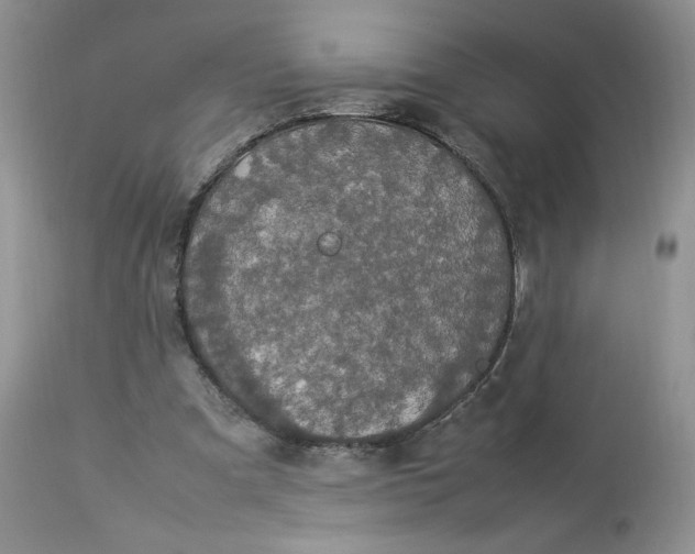 X0000112830297200909111405