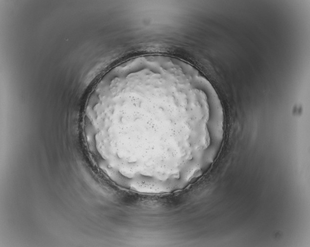 X0000112830299200909111405