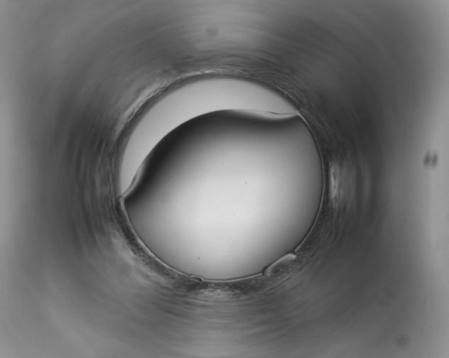 X0000112830300200909111405