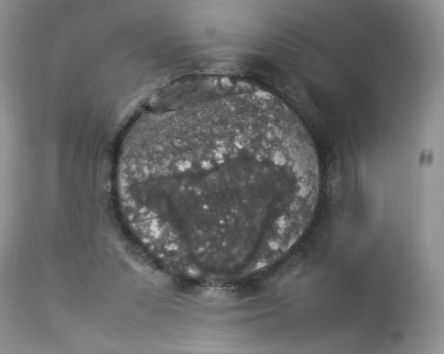 X0000112830303200909111405