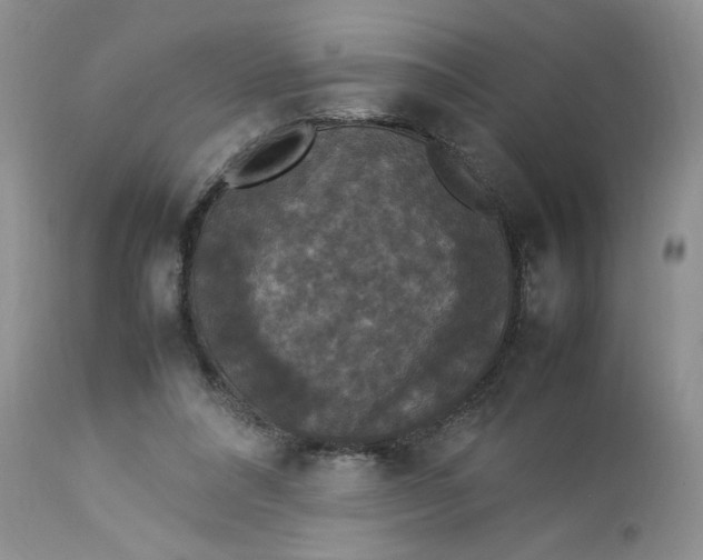 X0000112830304200909111405