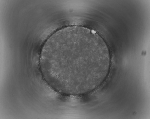 X0000112830305200909111405