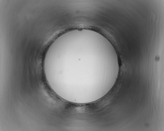 X0000112830306200909111405