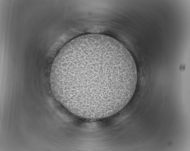 X0000112830307200909111405