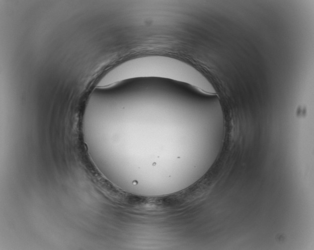 X0000112830308200909111405