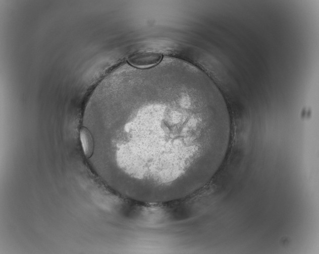 X0000112830309200909111405