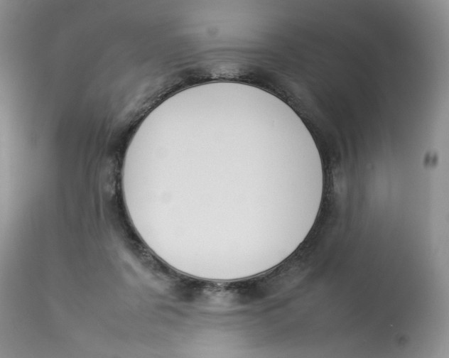 X0000112830311200909111405