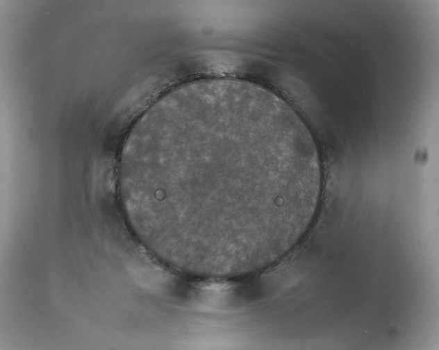 X0000112830313200909111405