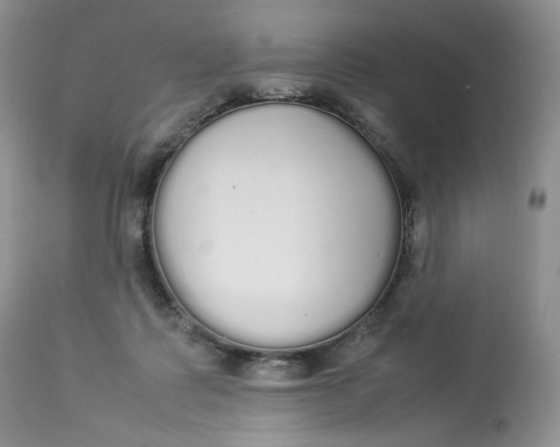 X0000112830315200909111405