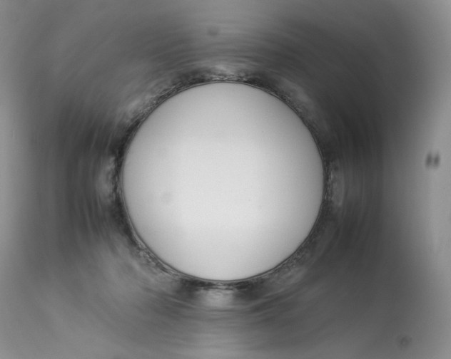 X0000112830318200909111405