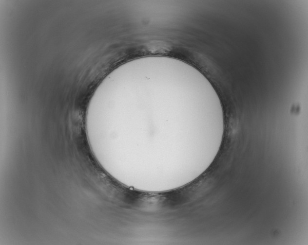 X0000112830321200909111405