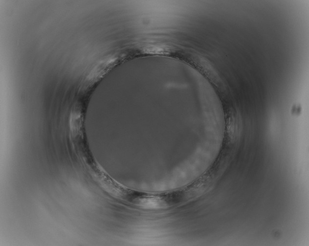 X0000112830322200909111405