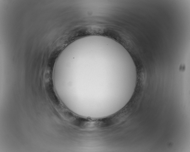 X0000112830323200909111405