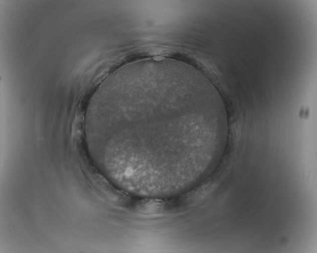 X0000112830325200909111405