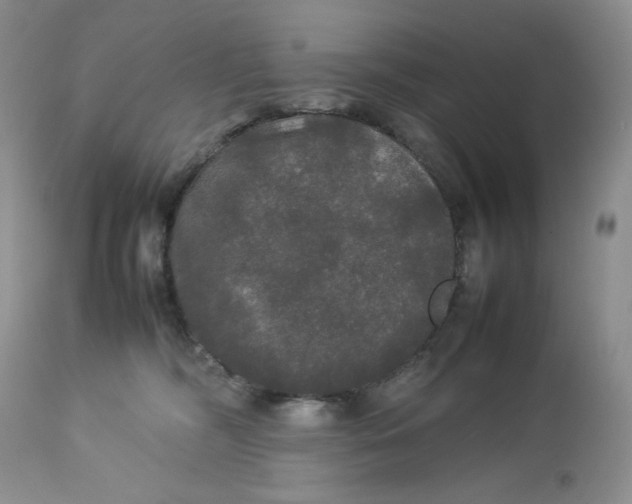 X0000112830326200909111405