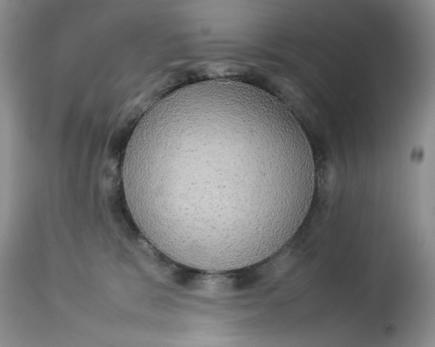 X0000112830327200909111405