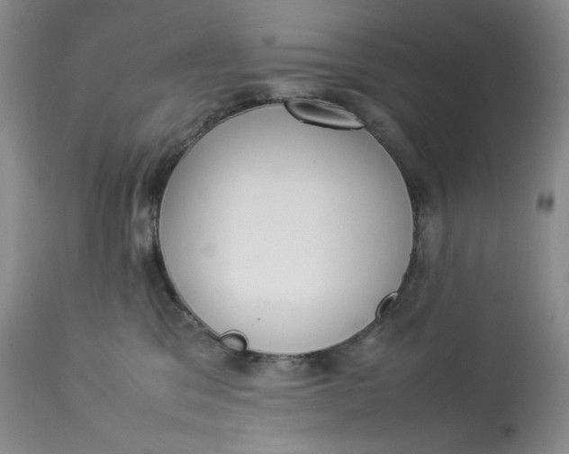 X0000112830329200909111405