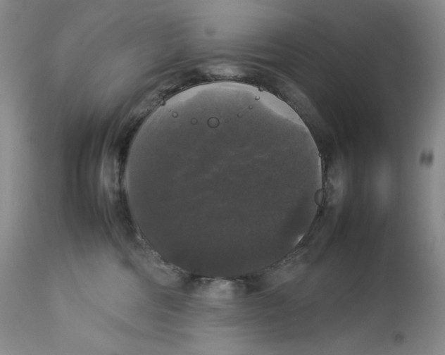 X0000112830330200909111405