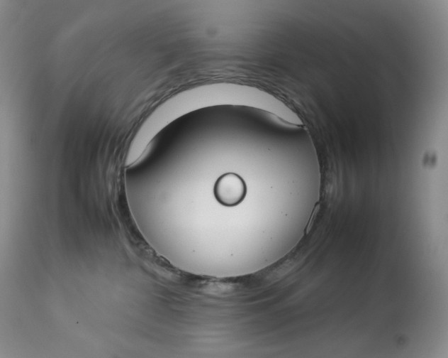 X0000112830332200909111405