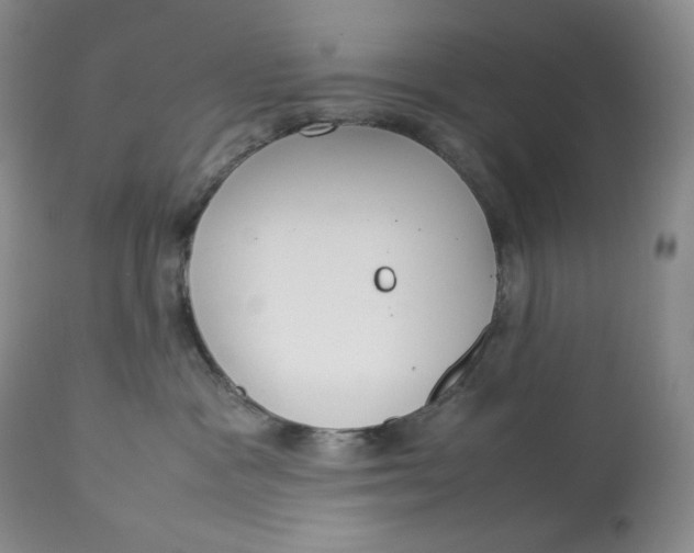 X0000112830333200909111405