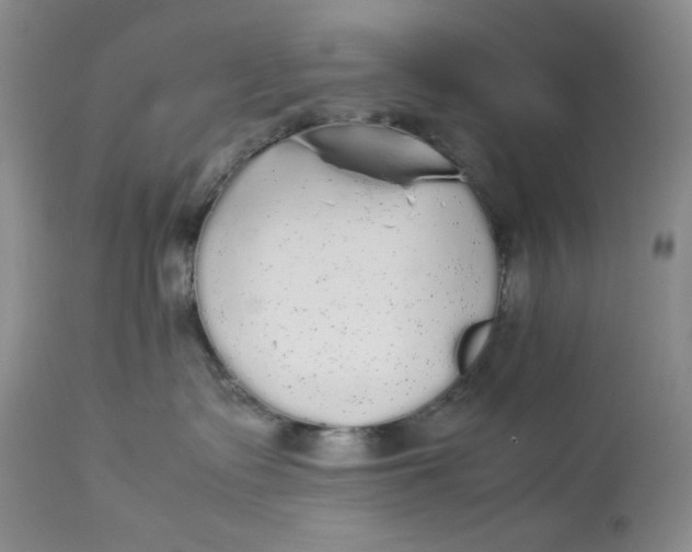 X0000112830335200909111405