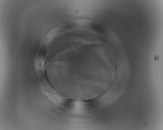 X0000112830336200909111405