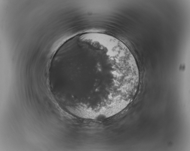 X0000112830337200909111404