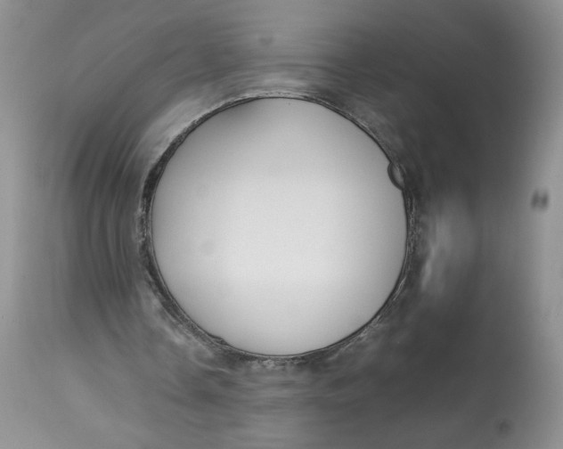 X0000112830338200909111404