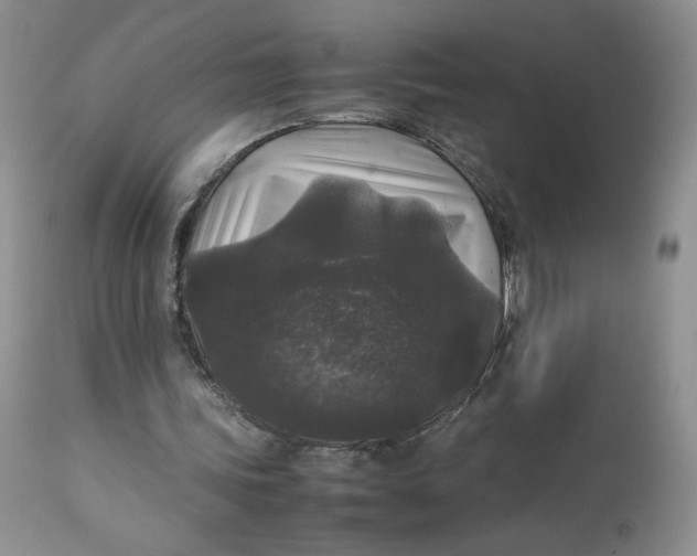 X0000112830339200909111404