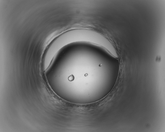 X0000112830340200909111404