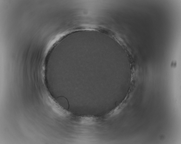 X0000112830342200909111404