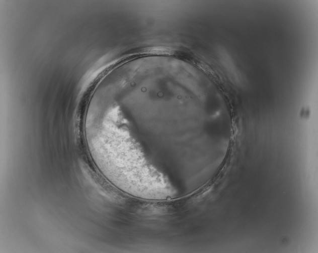 X0000112830343200909111404