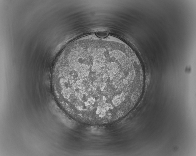 X0000112830345200909111404