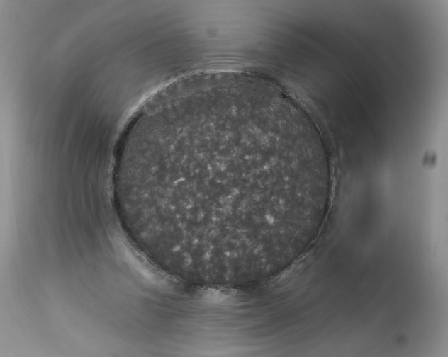 X0000112830346200909111404