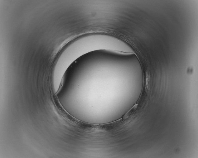 X0000112830348200909111404