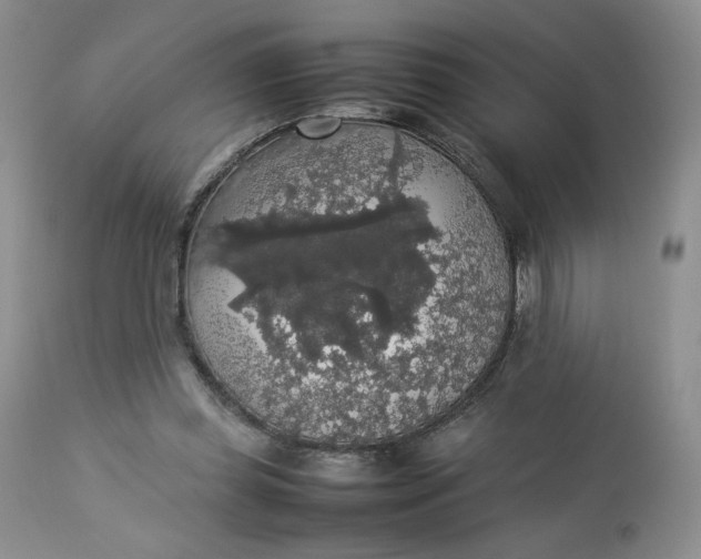 X0000112830349200909111404