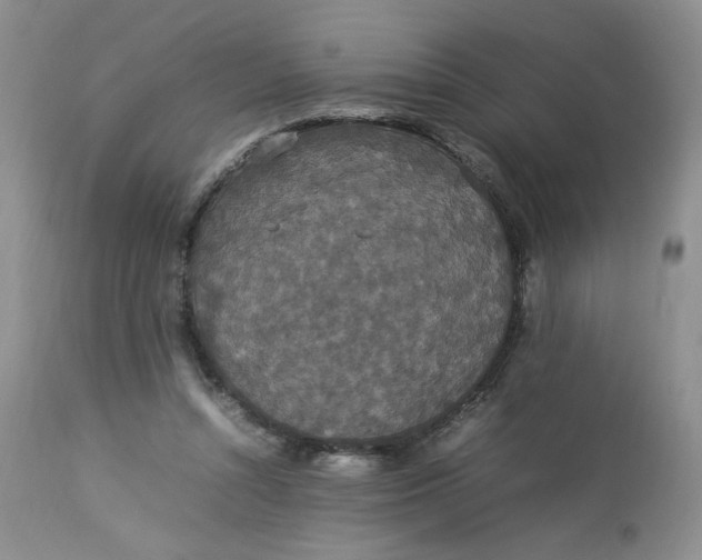 X0000112830352200909111404