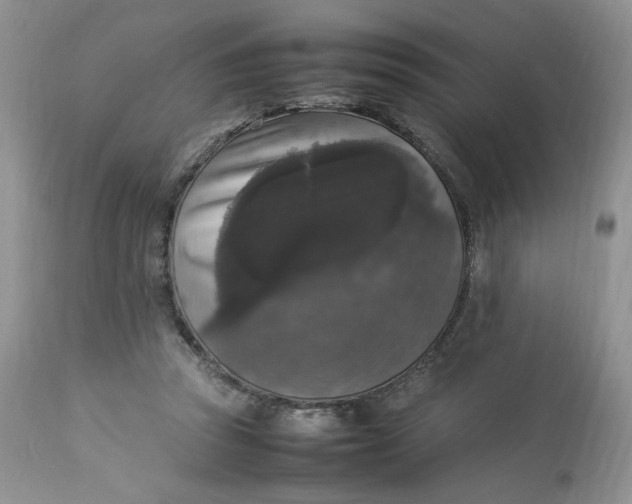 X0000112830353200909111404