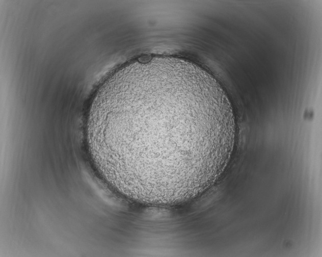 X0000112830354200909111404