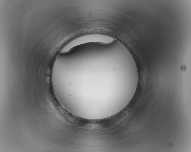 X0000112830356200909111404