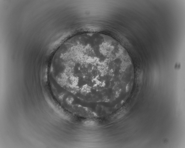 X0000112830358200909111404