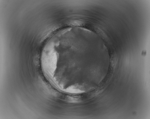 X0000112830359200909111404