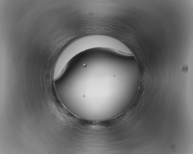 X0000112830360200909111404